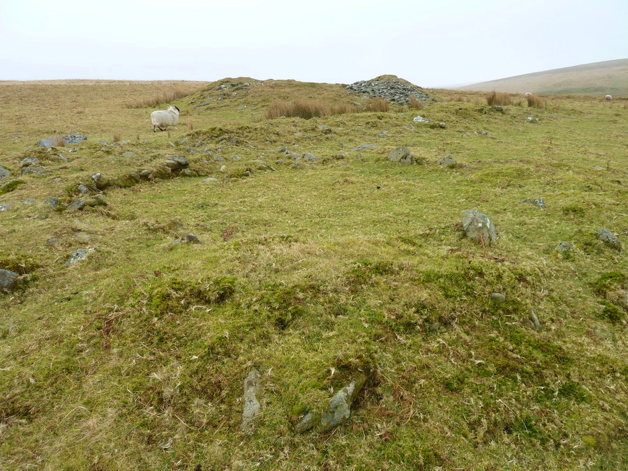 A nice hut circle just inside its enclosure with the large cairn 18 behind.
