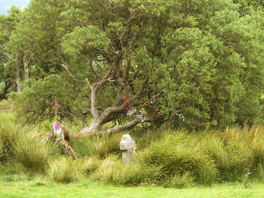 Fitz's Well and Cross.