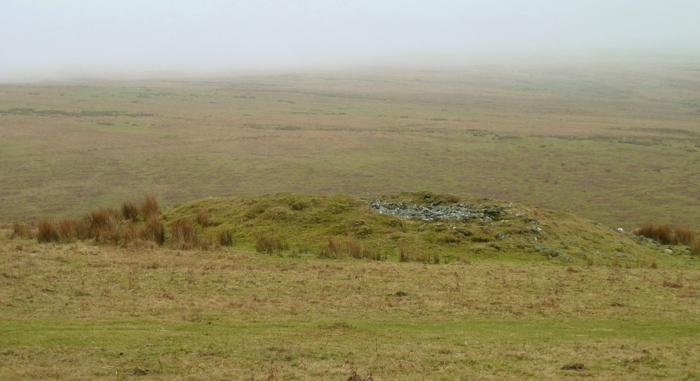 Drizzlecombe Settlement. Cairn 18 is by far the largest cairn among the settlements other cairns.