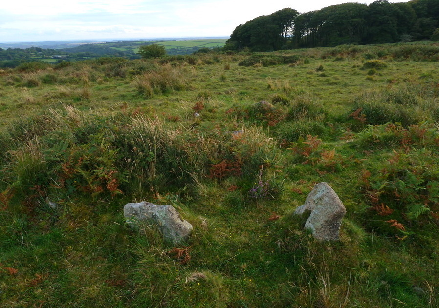 Burford Down (Tristis Rock) cairn circle and cist.