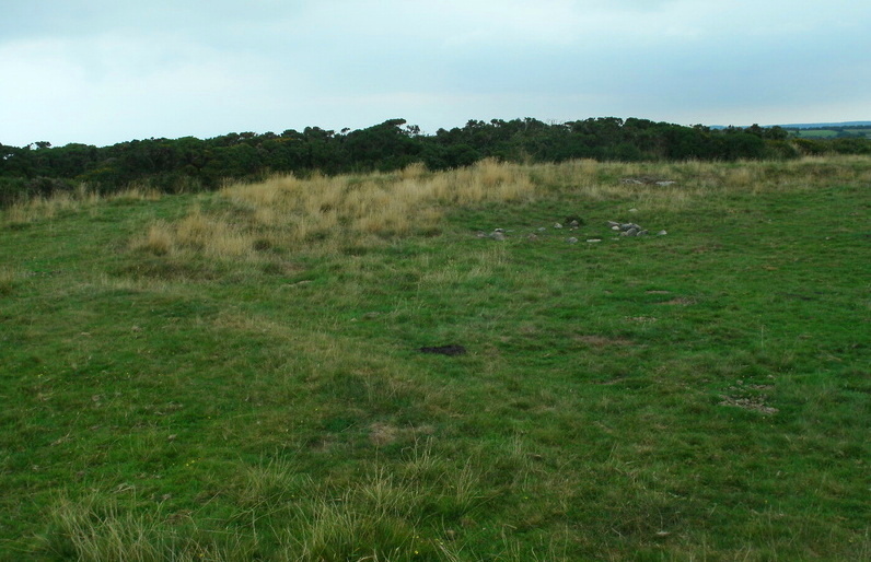 The bank of Mardon Down Ring Cairn.