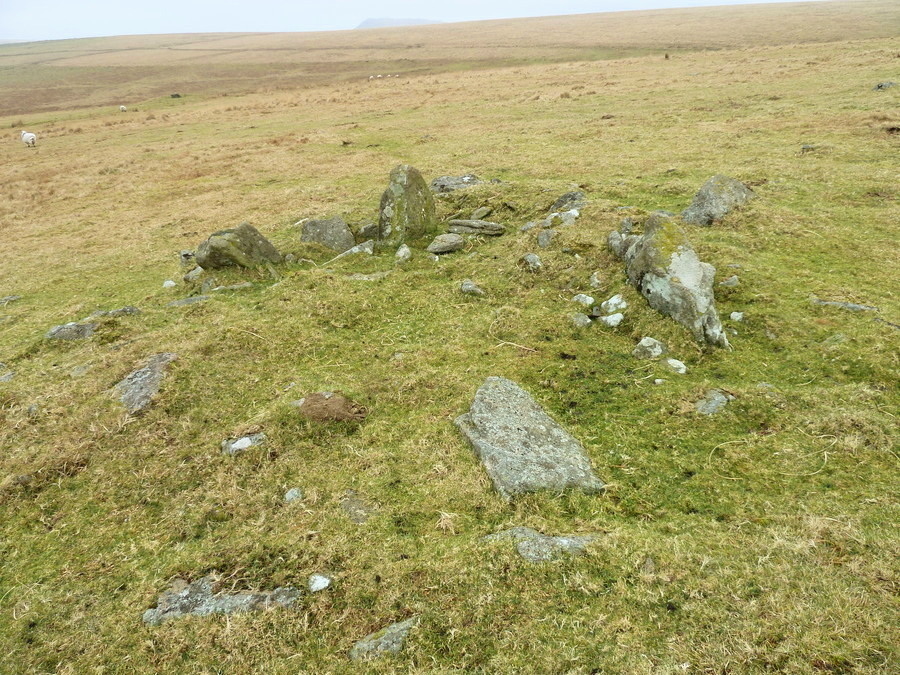 Drizzlecombe Settlement, a Hut? with orthostats or cairn circle at the west of the settlement.