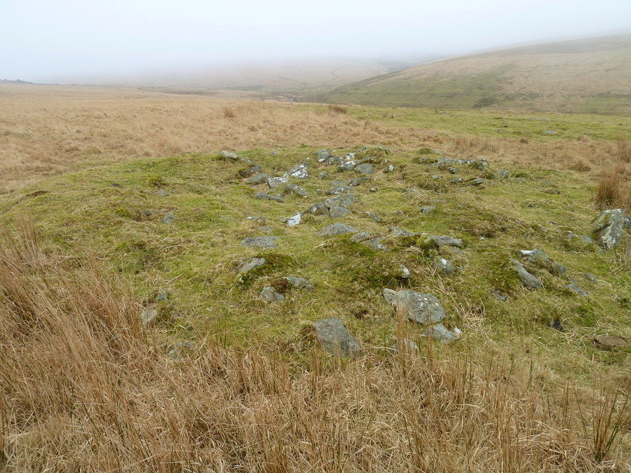 The cairn to the north east of the settlement at SX597673.