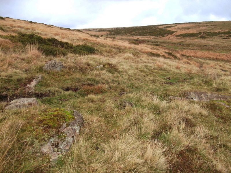 Brockhill Ford. In this photo you can see the stones of the circle on the left and the cist on the right.
