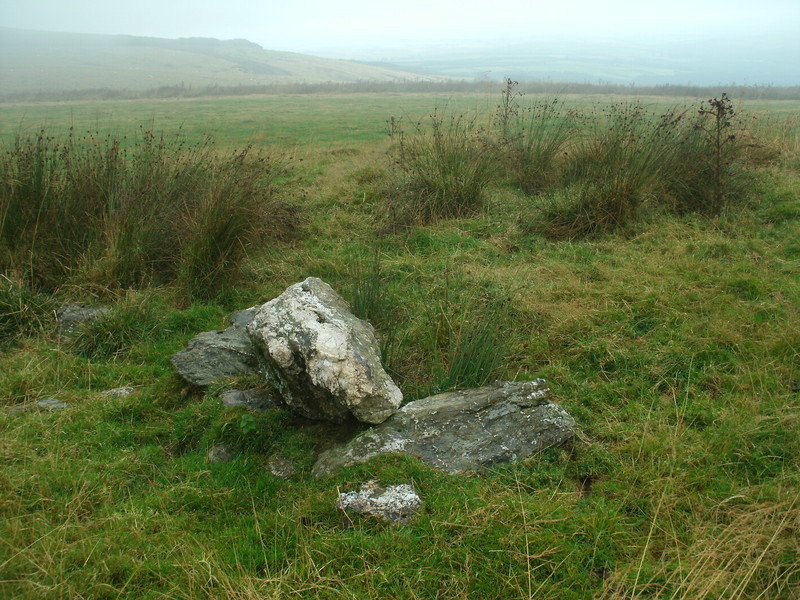 This barrow is also found at SS725375, it has a possible ruined Cist on top.