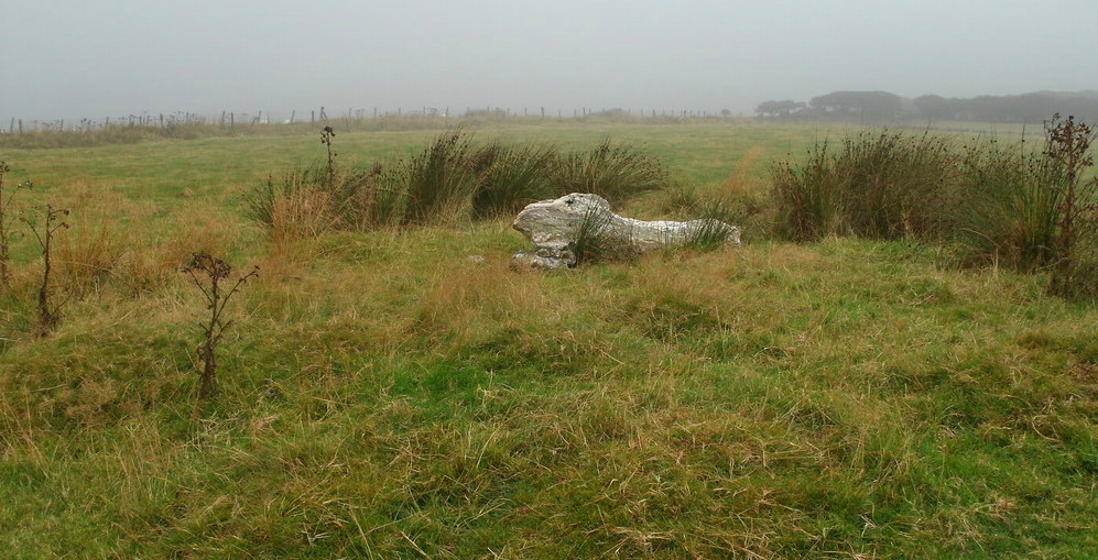This barrow is found at SS725375, it has a possible ruined Cist on top.