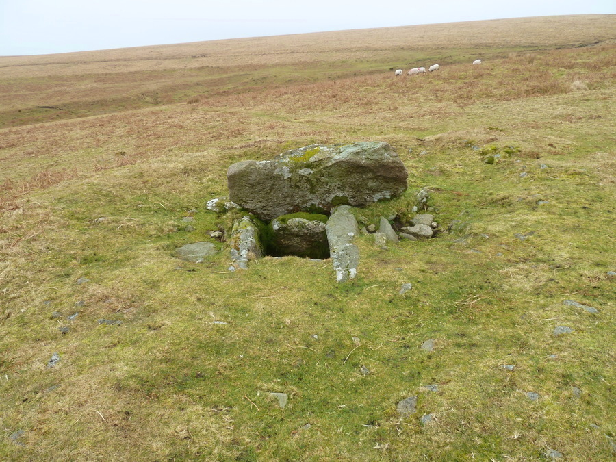 Drizzlecombe cairn and cist 13.