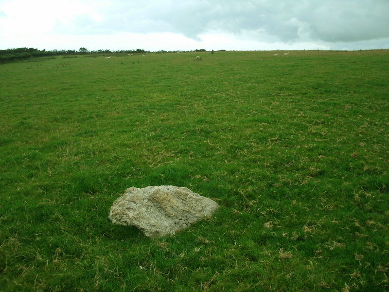 Kentisbury Down, Fallen stone at SS637440, With the remaining Still standing stone visible in the background [SS638441].