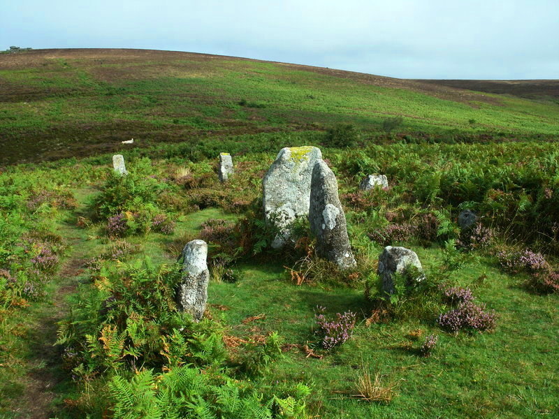 The very interesting North end of Challacombe stone rows.