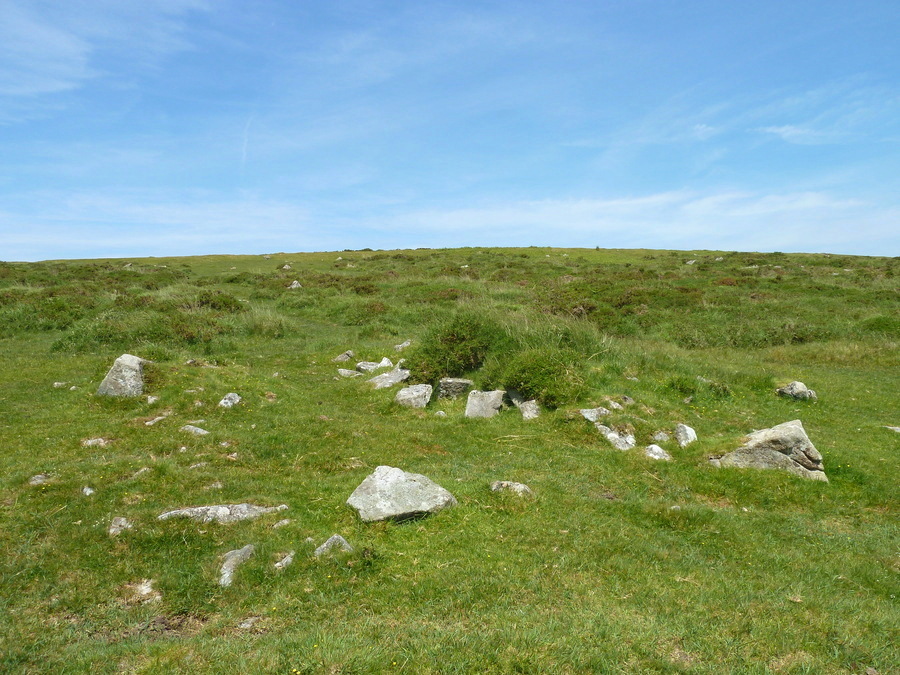 Stanlake Cairn and Cist [SX56427085].