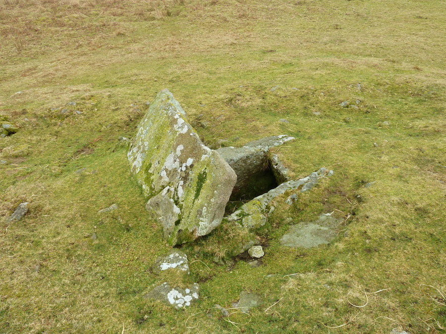 Drizzlecombe cairn and cist 13.