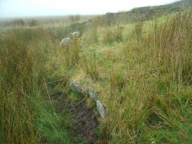 Part of the kerb at Setta Barrow.