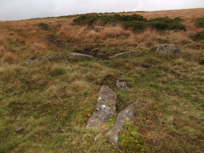 Brockhill Ford. It's listed above as a stone circle but it's really a cairn circle and cist (ed.: amended, thanks). This is a photo of the ruined cist  [foreground] and some circle stones [background].