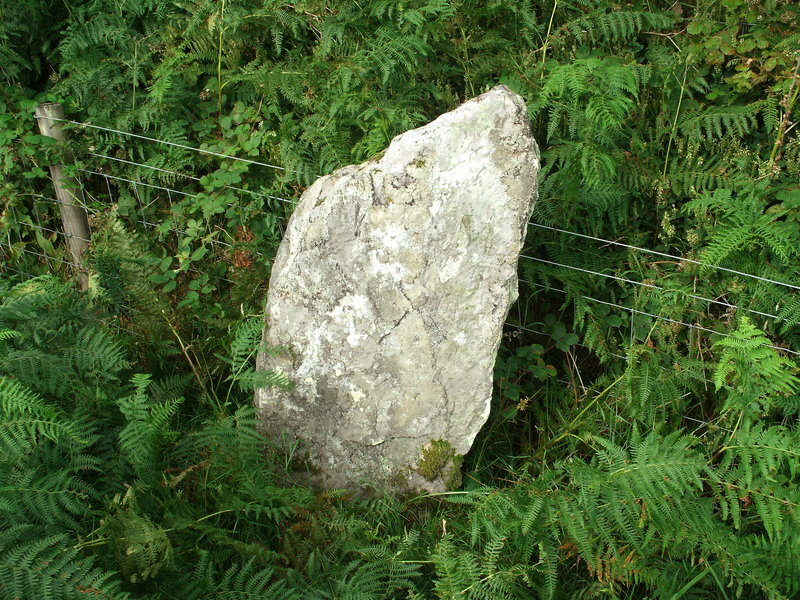 Trentishoe boundary stone [SS627478].