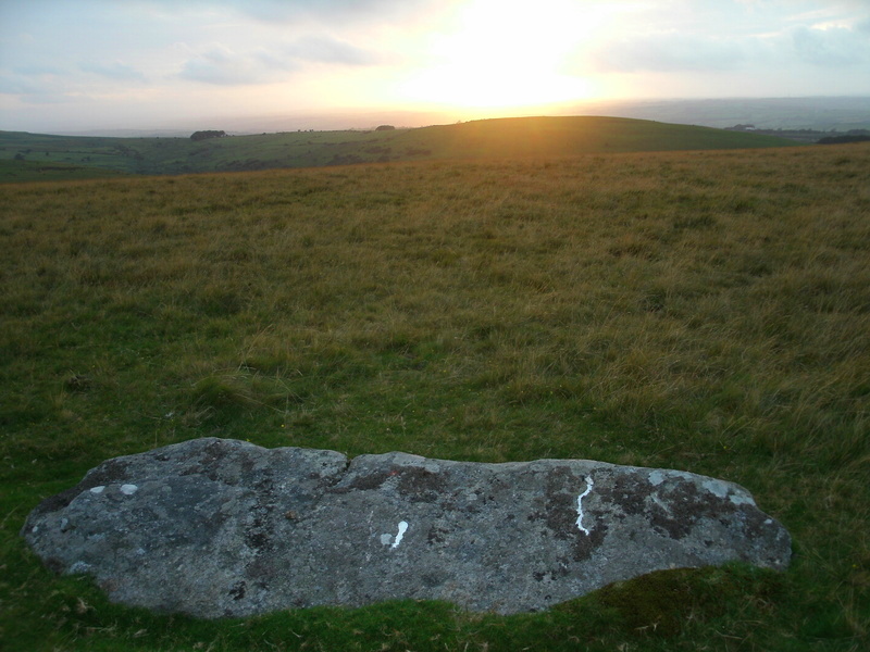 The possible fallen longstone of Longstone hill (it's the only big stone on the hill as well).  It's found at SX567909.