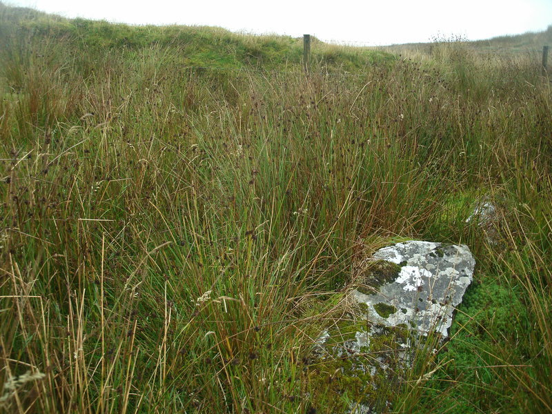 Part of the kerb at Setta Barrow east of the wall.
