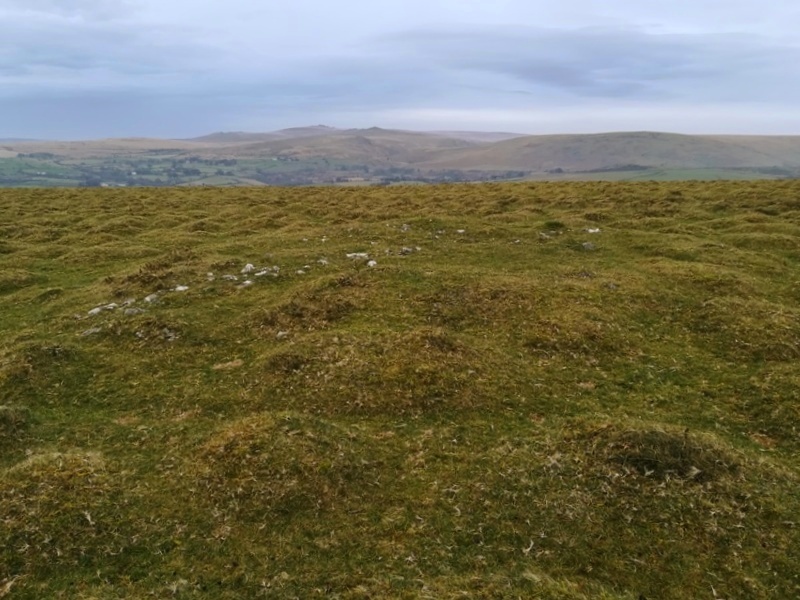Cudlipptown Down Cairn, Is found to the North of the Embanked Cairn Circle
