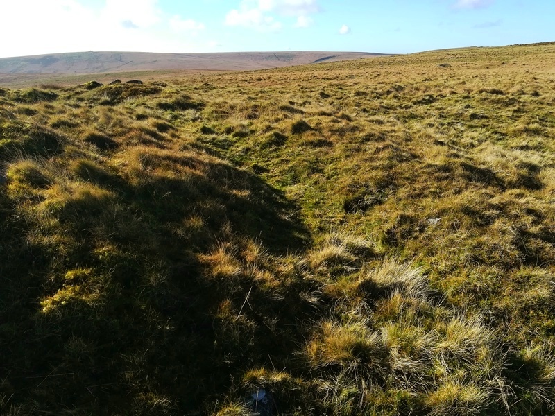 Inner Pupers Ring/Tor Cairn Bank and Ditch