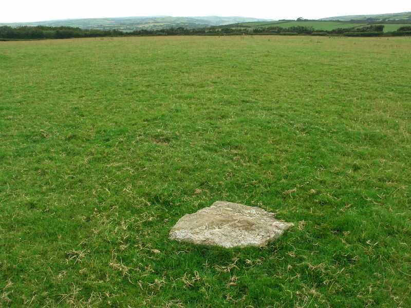 Kentisbury Down, Fallen stone at SS639440, maybe these small stones were just stood on end when they were up as they have flat bottoms and are a bit small to have ever had much in the ground.