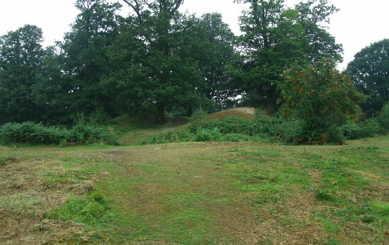 Hembury Castle, Earthworks inside the fort.

