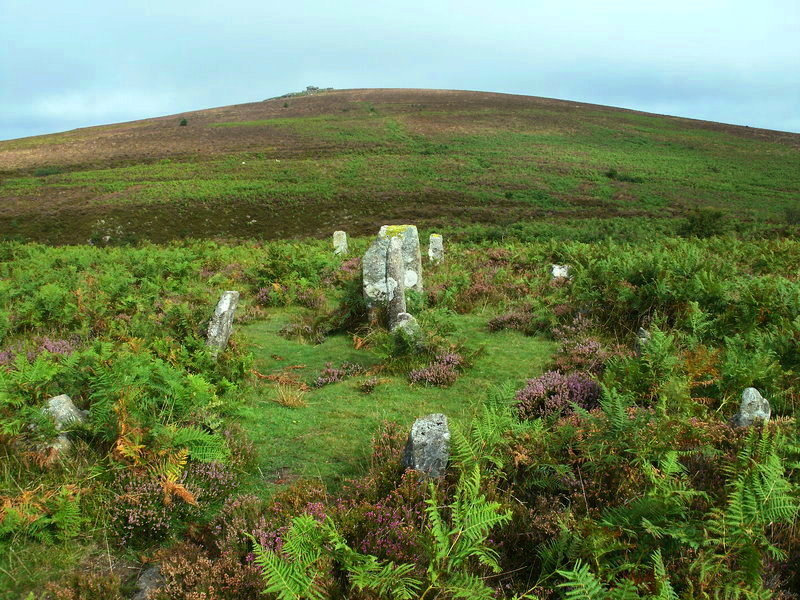 The North end of Challacombe stone rows.