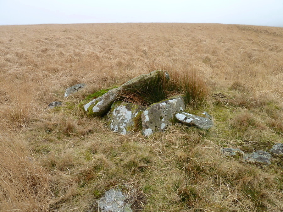 Plym Steps cairn and cist.