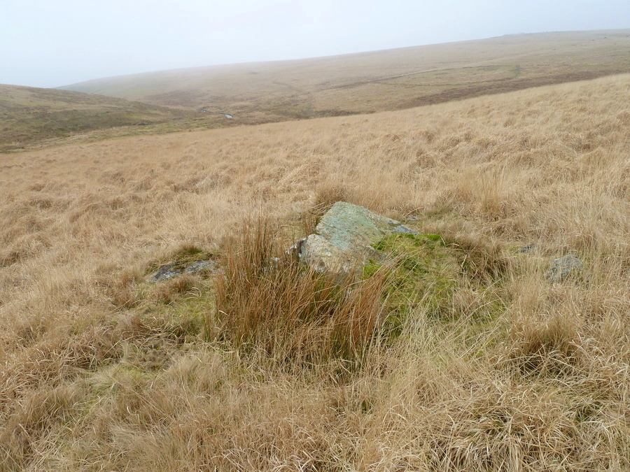 Plym Steps cairn and cist.