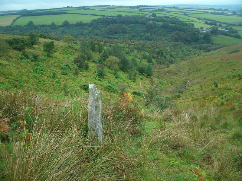 West Anstey Long Stone.