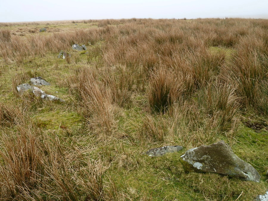 Deadman's Bottom Cairn Circle.
