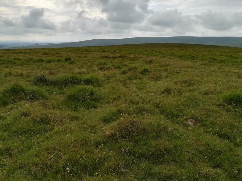 THe bank of Stalldown Ring Cairn looking West, Some of the stones of Stalldon Stone Row are just visible on the little hillock in the photo's middle distance 