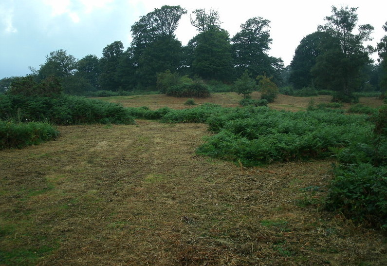 Hembury Castle, The interior of the fort.

