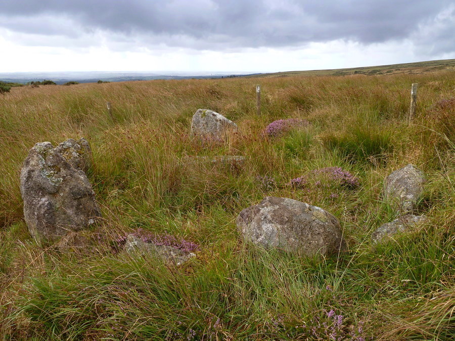 Dendles Waste Cairn Circle and Cist.