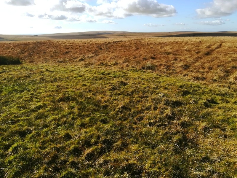The Low green spread of Ryder's hill Cairn