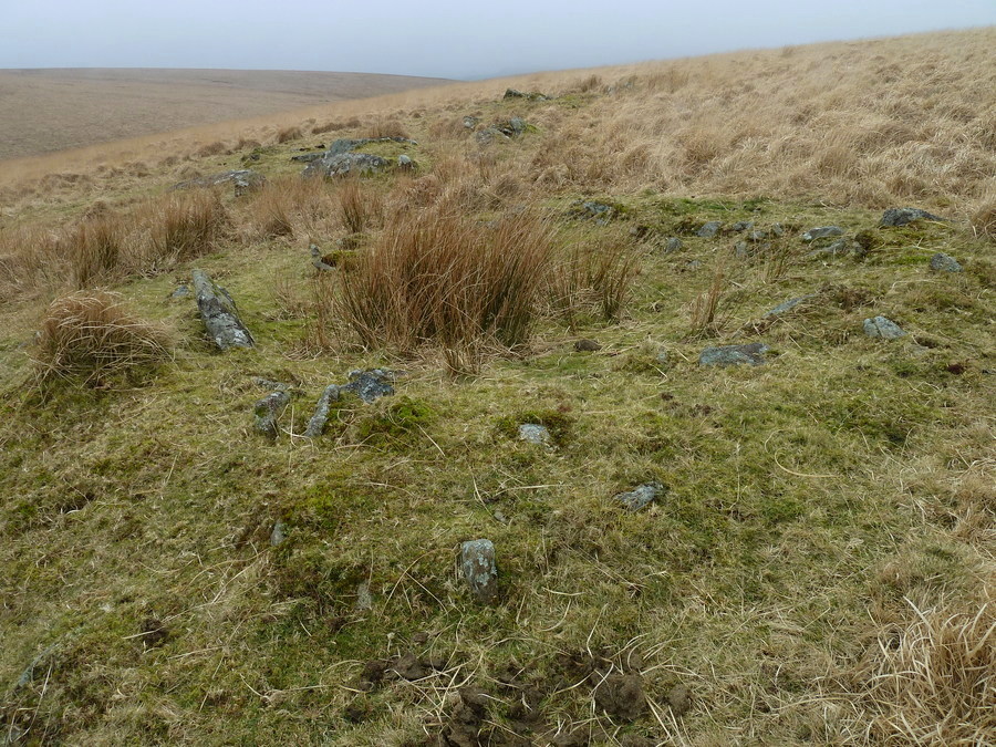 Deadman's Bottom Cists, The Eastern enclosure, Like a little ring cairn, Probably for rituals/cremations before been interred into the cists.