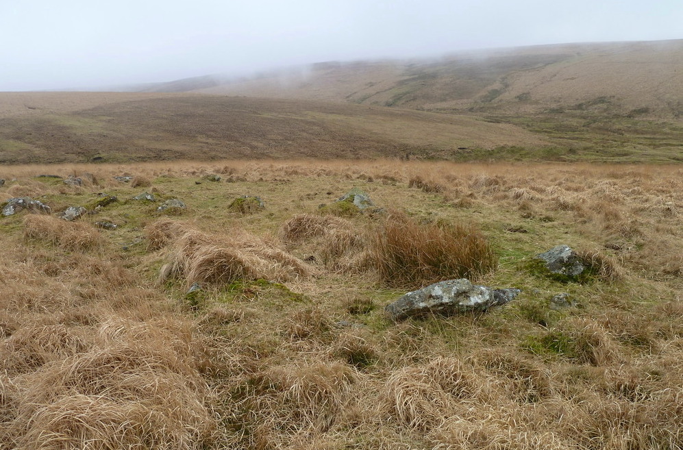 Deadman's Bottom Cists, The Western enclosure/cairn circle, This enclosure has large stones.