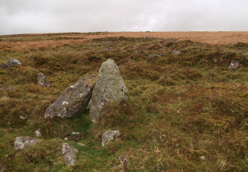 Brockhill Settlement, A hut circle with large stones for it's entrance.