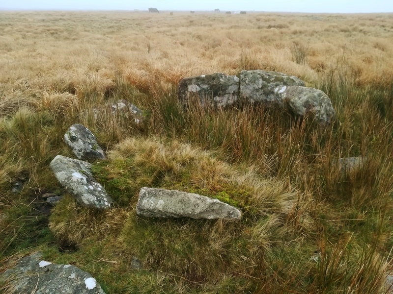 Sittaford Tor Cairn Circle and Cist