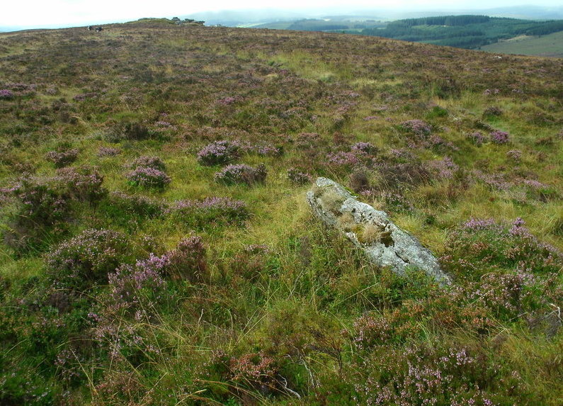 Birch Tor Cairn.  One of the stones on the cairn with Birch Tor in the background.