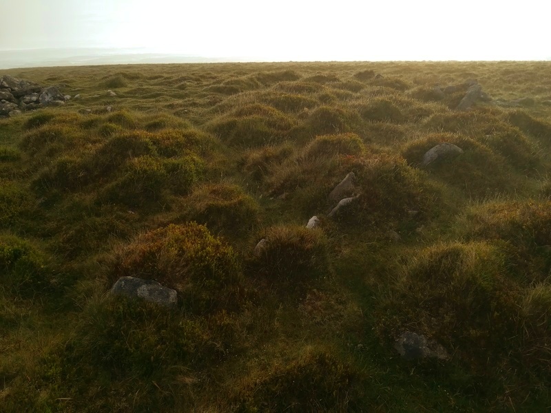 Cosdon Hill Summit Cairns, Trying to show some kerbstones on the Northern Kerb Cairn