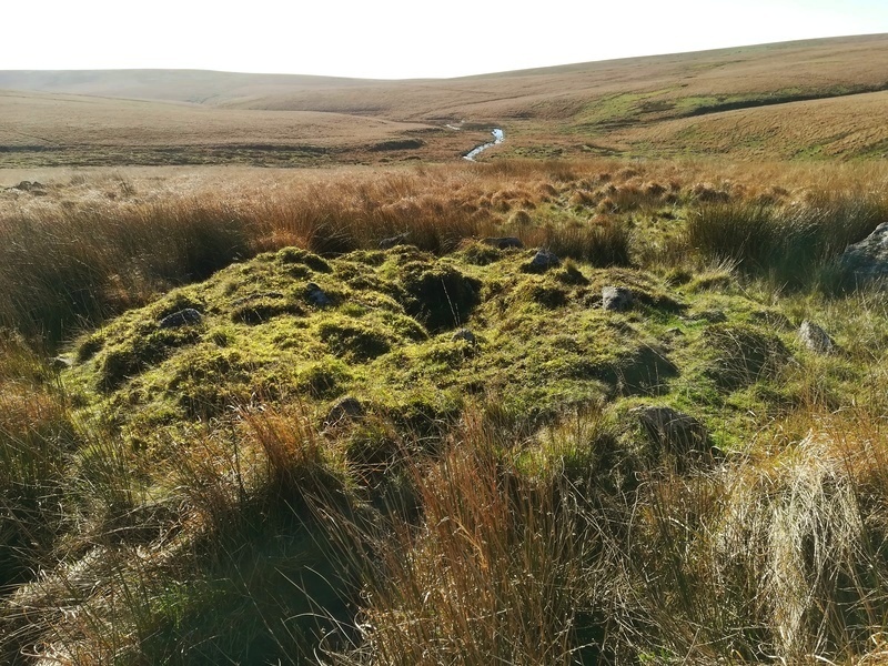Brown Heath Cairn and Cist,The Inner Cairn is very intact 

