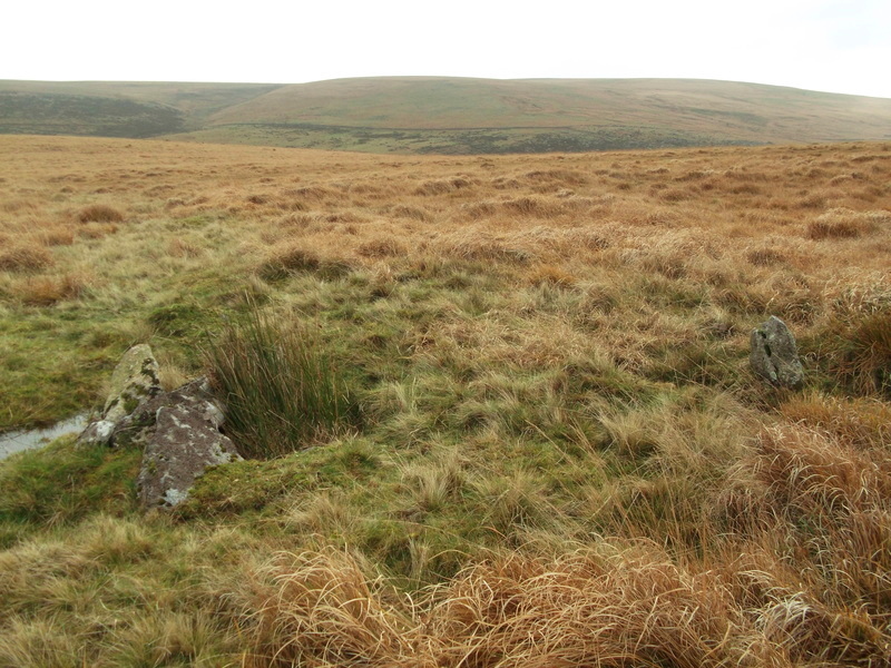 Swincombe cairn circle and cist, The cist is on the Left and the last remaining stone of the cairn circle is on the Right.