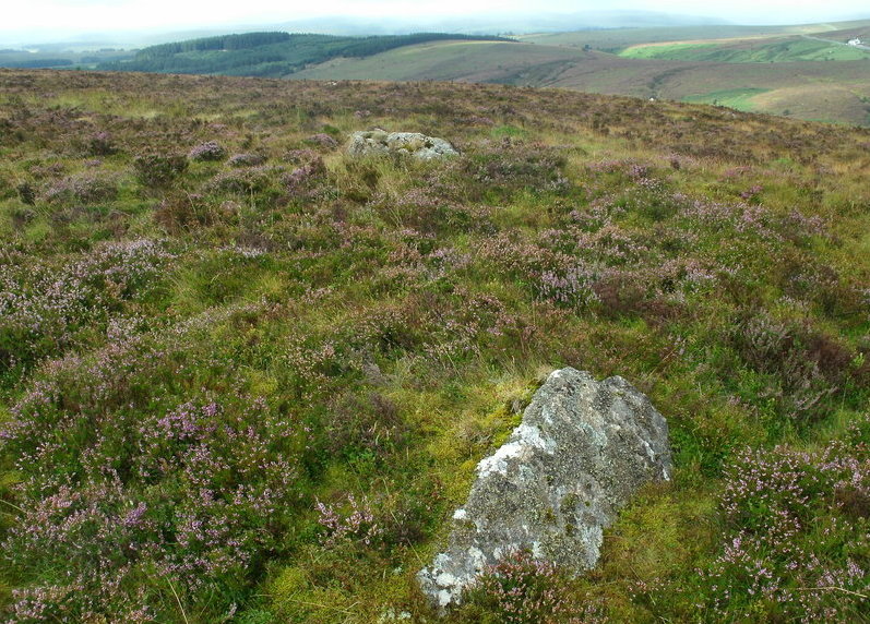 Birch Tor Cairn.  Showing the 2 stones on the cairn.