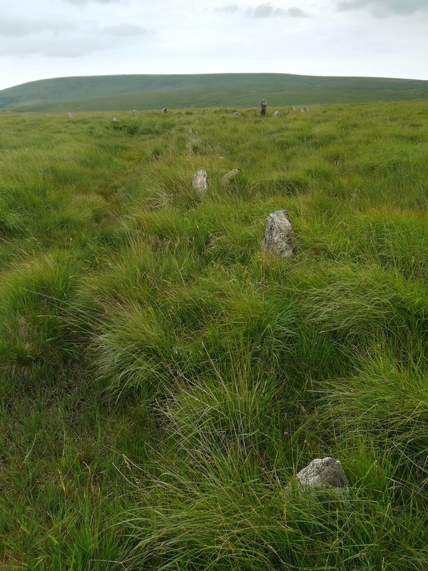The Southern End of Upper Erme Row terminates at Stall Moor Stone Circle (Kiss-in-a-Ring), Which is to be seen in the background

