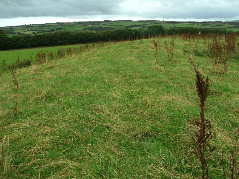 Stoke Rivers fort, The bank at the North West of the fort [North of the road].