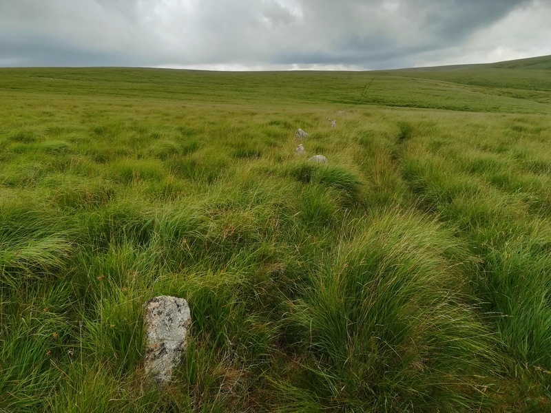 Upper Erme Stone Row, The Southern End looking North away from Stall Moor Stone Circle (Kiss-in-a-Ring)

