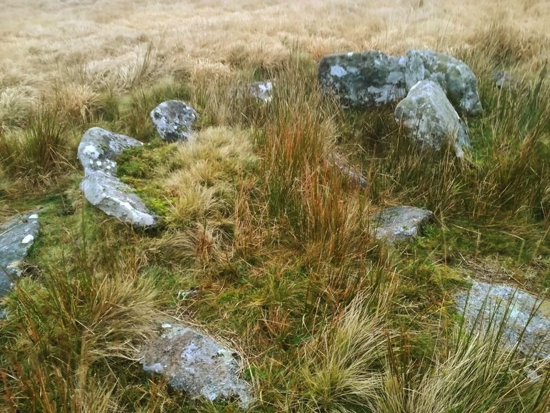 Sittaford Tor Cairn Circle and Cist, One side of the kerb has fallen inwards the other outwards, still a nice site in ruin though
