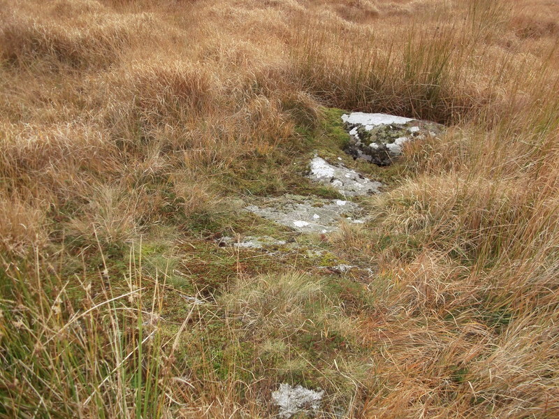 A possible chamber/cist with five capstones just to the South of Rha cairn circle and cist.