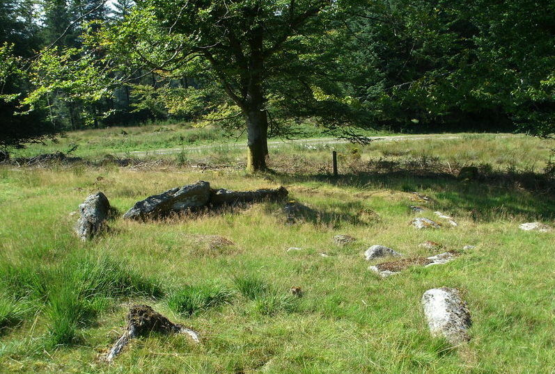 This is the ruined remains of the southern middle of the four huts.
