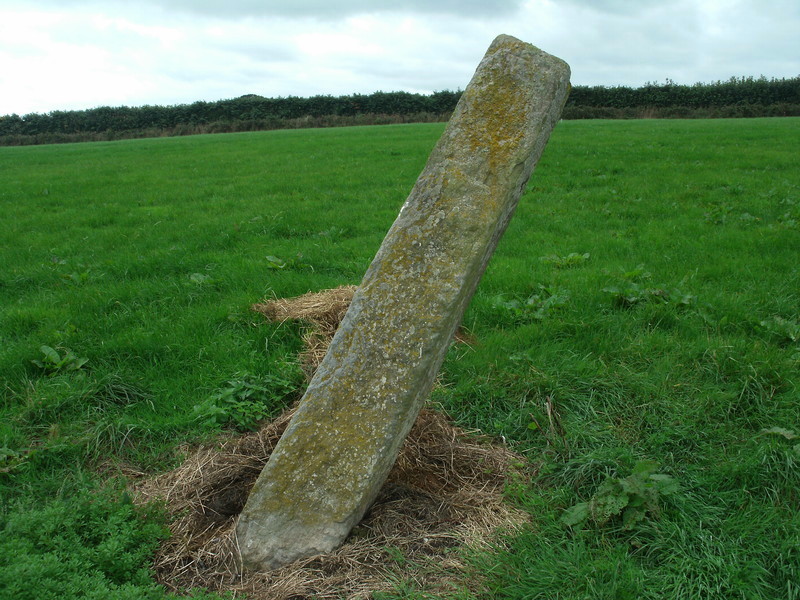 The Long Stone (East Worlington).