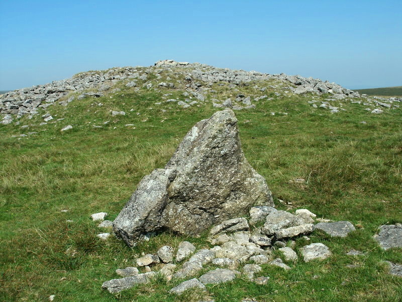 Stone next to Butterdon Hill Cairn - SX655586.